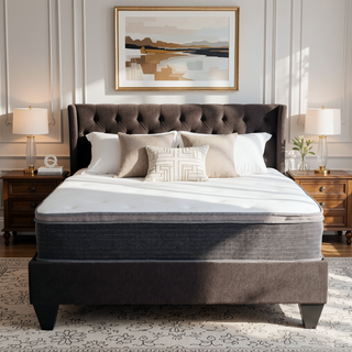 Sunvega 12 in. Queen Plush Gel Memory Foam Hybrid Mattress with Euro Top and Pocket Coils