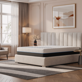 Sunvega Copper Infused 12 Inch Soft Memory Foam Split Top Queen Mattress