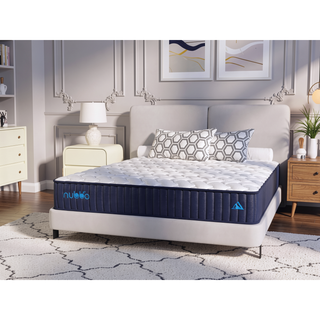 Sunvega 12 Inch Twin Size Premier Luxury Hybrid Mattress with Medium Firm Feel