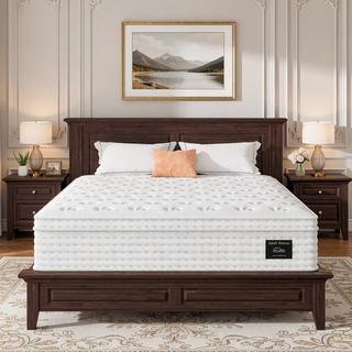 Sunvega 14'' Hybrid Queen Mattress with Memory Foam and Pocket Springs for Pressure Relief