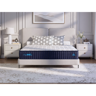 Sunvega 12 Inch Queen Size Medium Firm Premier Luxury Hybrid Mattress