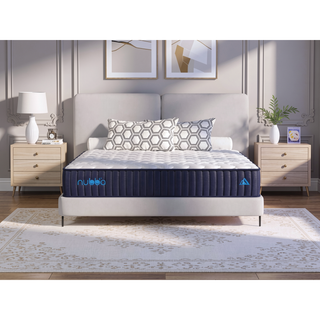 Sunvega 12 Inch Queen Size Medium Firm Premier Luxury Hybrid Mattress