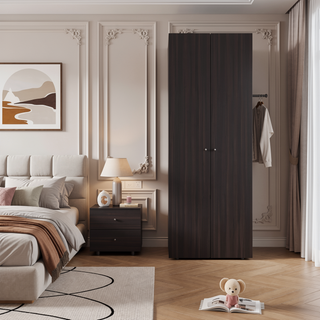 Sunvega 2-Door Black Armoire with Hanging Rod and Storage Shelf for Bedroom
