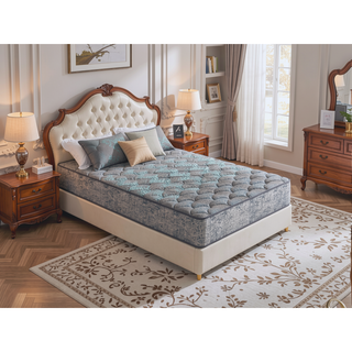 Sunvega 7 Inch Plush Medium Comfort Foam Core Mattress with TruComfort Support