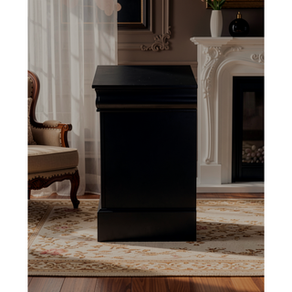 Sunvega Black Finish Traditional Bedroom Nightstand with Two Drawers and Metal Handles