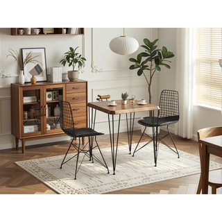Sunvega Modern Industrial Metal Dining Chair with Ergonomic Wire Frame Backrest