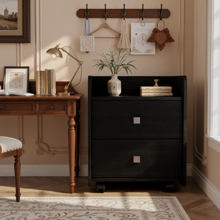 Sunvega Aura Nightstand End Table with Two Drawers and Metal Handle -Black