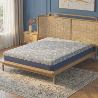 Sunvega 10" Hybrid Queen Mattress with Isotonic Memory Foam and Lumbar Support