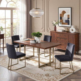 Sunvega Velvet Upholstered Dining Chairs with Gold Metal Legs Set of 2