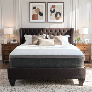 Sunvega Plush Euro Top Gel Memory Foam Hybrid Mattress with Pocket Coils