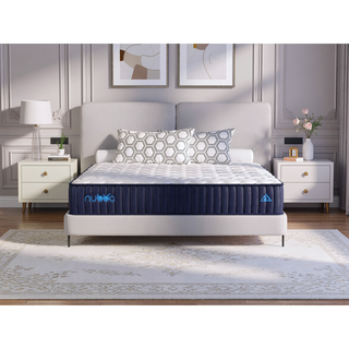 Sunvega 12 Inch Twin Size Premier Luxury Hybrid Mattress with Medium Firm Feel