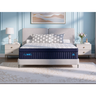 Sunvega 14 Inch Queen Size Medium Firm Hybrid Mattress with Memory Foam