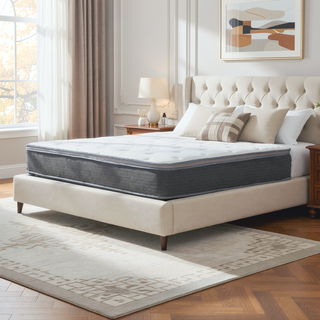 Sunvega Plush Queen Size Hybrid Mattress with Gel Memory Foam and Pocket Coils