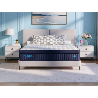 Sunvega 14 Inch Queen Size Medium Firm Hybrid Mattress with Memory Foam