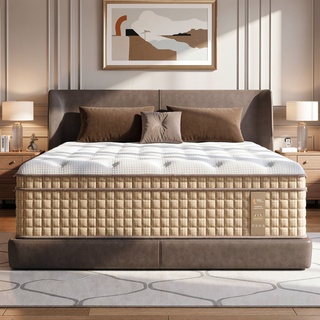 Sunvega Queen Hybrid Mattress with Cooling Gel Memory Foam and Pocket Springs for Support