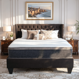 Sunvega Plush Euro Top Gel Memory Foam Hybrid Mattress with Pocket Coils