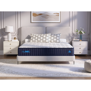 Sunvega 12" Full Size Premier Luxury Hybrid Mattress with Medium Firm Feel