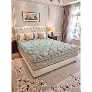 Sunvega 10 Inch Euro Top Plush Mattress with Cooling Foam and Reinforced Support