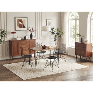 Sunvega Modern Industrial Metal Dining Chair with Ergonomic Wire Frame Backrest