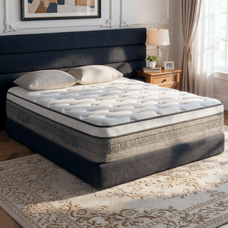 Sunvega 10 Inch Queen Size Breathable Cool Cover Memory Foam Hybrid Mattress