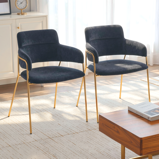 Sunvega Gold Metal Frame and Black Velvet Upholstery Contemporary Chair Set of 2