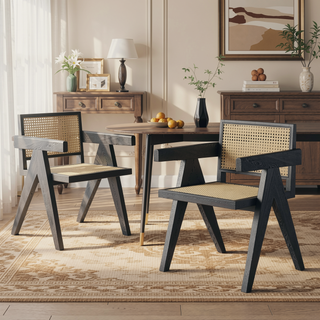 Sunvega Natural Rattan Dining Chairs with Perforated Design Set of 2 for Living Room