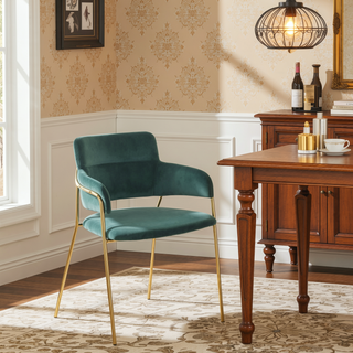 Sunvega Gold Metal Frame and Velvet Upholstery Contemporary Chair Set of 2