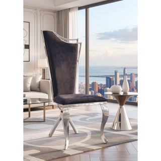 Sunvega Stainless Steel Side Chair with Padded Seat and X-Shaped Back Leg