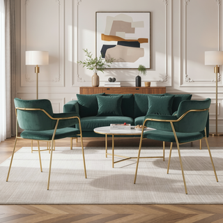 Sunvega Gold Metal Frame and Velvet Upholstery Contemporary Chair Set of 2