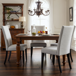 Sunvega Modern Light Gray Finish 2pc Side Chair with Fabric Upholstery and Nailhead Trim