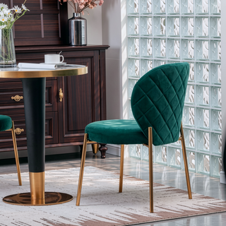 Sunvega Contemporary Velvet Upholstered Dining Chairs with Gold Metal Frame, Set of 2