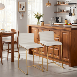 Sunvega Mason Mara Contemporary Fixed Height Counter Stool Set of Two