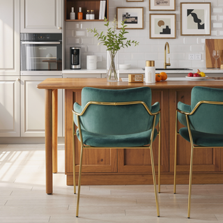 Sunvega Gold Metal Frame and Velvet Upholstery Contemporary Chair Set of 2