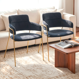 Sunvega Gold Metal Frame and Black Velvet Upholstery Contemporary Chair Set of 2