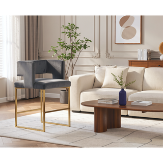 Sunvega Modern Velvet Upholstered Counter Stool Set of 2 with Gold Metal Legs