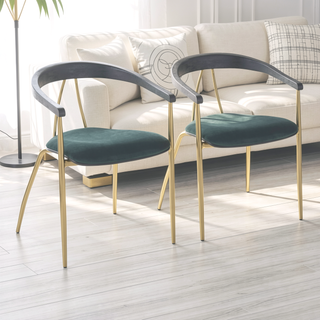 Sunvega Glam Contemporary Velvet Upholstered Chair with Gold Metal Frame