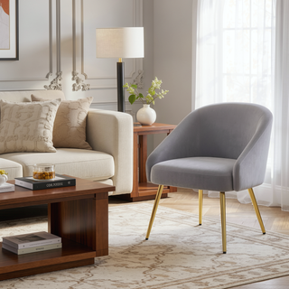 Sunvega Gold Metal Legs and Silver Velvet Upholstery for a Stylish Accent Chair