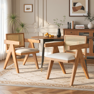 Sunvega Natural Rattan Dining Chairs with Perforated Design Set of 2 for Living Room