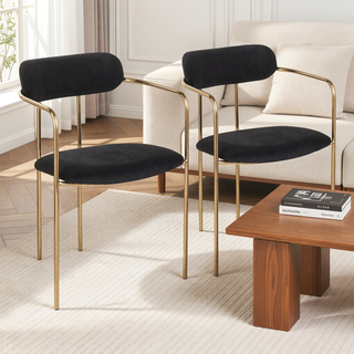 Sunvega Demi Contemporary Gold Metal Frame Black Velvet Upholstered Chair Set of 2