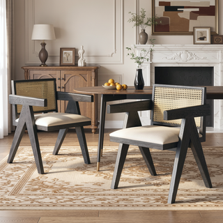 Sunvega Natural Rattan Dining Chairs with Perforated Design Set of 2 for Living Room