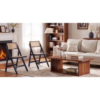 Sunvega Modern Industry Chic Cane Folding Dining Chair Set of 2 in Black and Natural