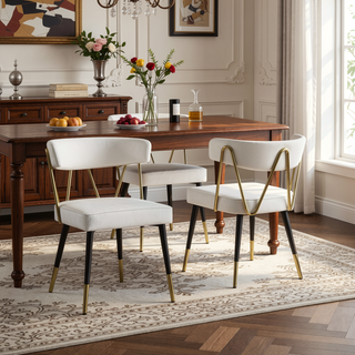 Sunvega Stylish Velvet Dining Chairs with Gold Trim and Padded Seat Set of 2