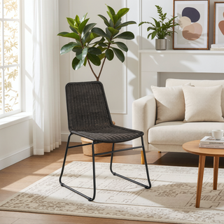 Sunvega Brown Faux Rattan Metal Dining Chair with Sled Base Set of 2