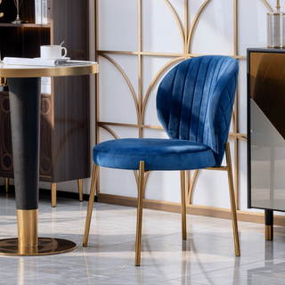 Sunvega Contemporary Velvet Upholstered Dining Chairs with Gold Metal Frame, Set of 2