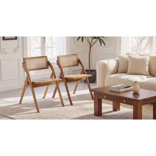 Sunvega Modern Industry Chic Cane Folding Dining Chair Set of 2 for Dining Room