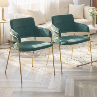 Sunvega Gold Metal Frame and Velvet Upholstery Contemporary Chair Set of 2