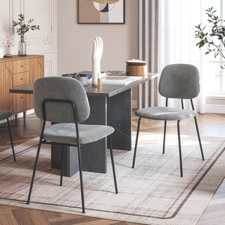 Sunvega Gray Velvet and Metal Dining Chairs Set of 2 with Soft Upholstery