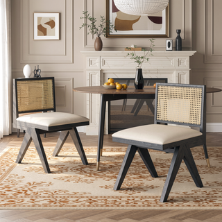 Sunvega Natural Rattan Dining Chairs with Perforated Design Set of 2 for Living Room