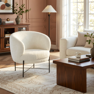 Sunvega Contemporary Glam Accent Chair with Sherpa Upholstery and Black Metal Frame