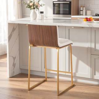Sunvega Mason Mara Contemporary Fixed Height Counter Stool Set of Two